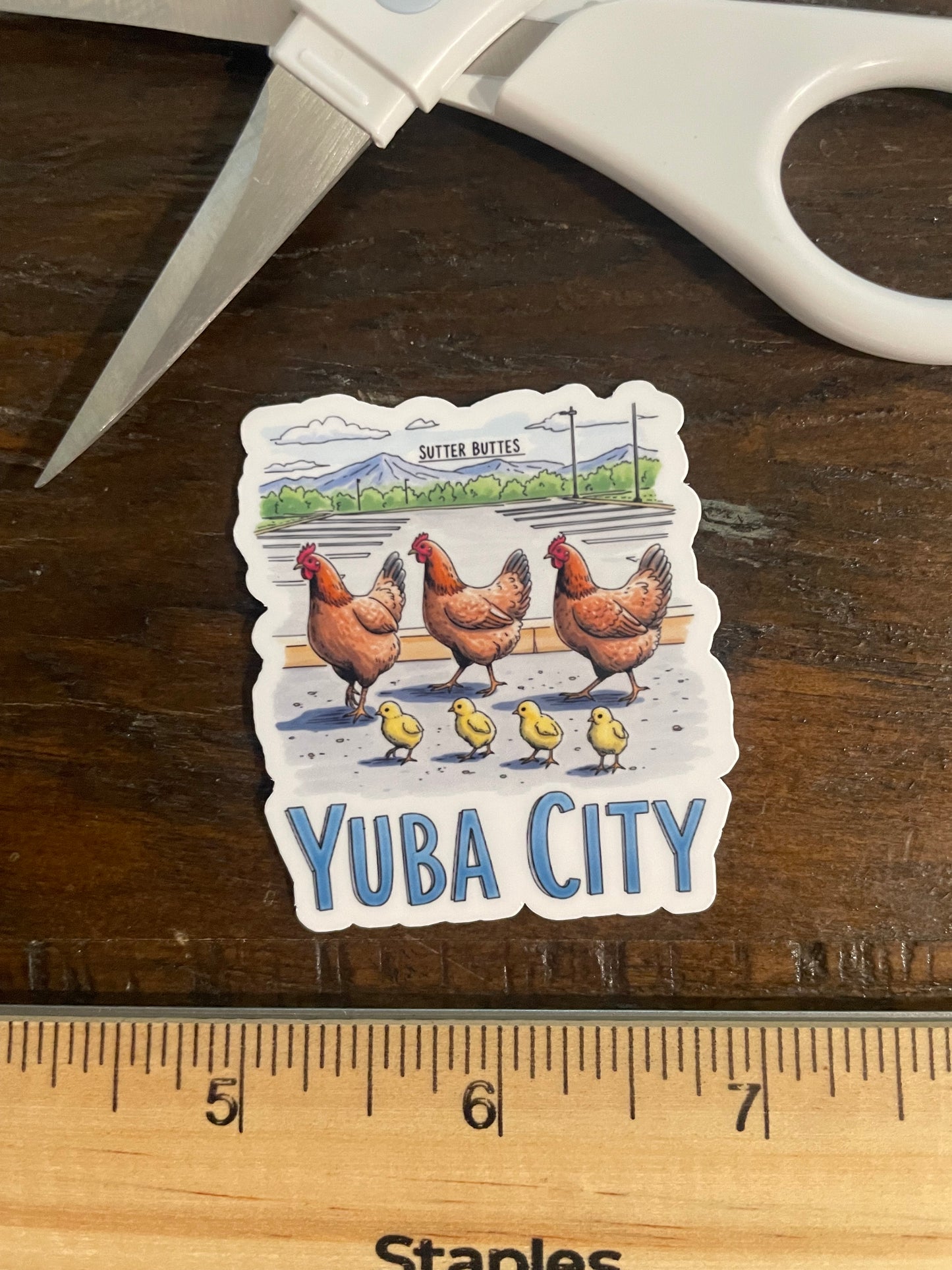 Yuba City Hand Drawn Parking Lot Chickens!