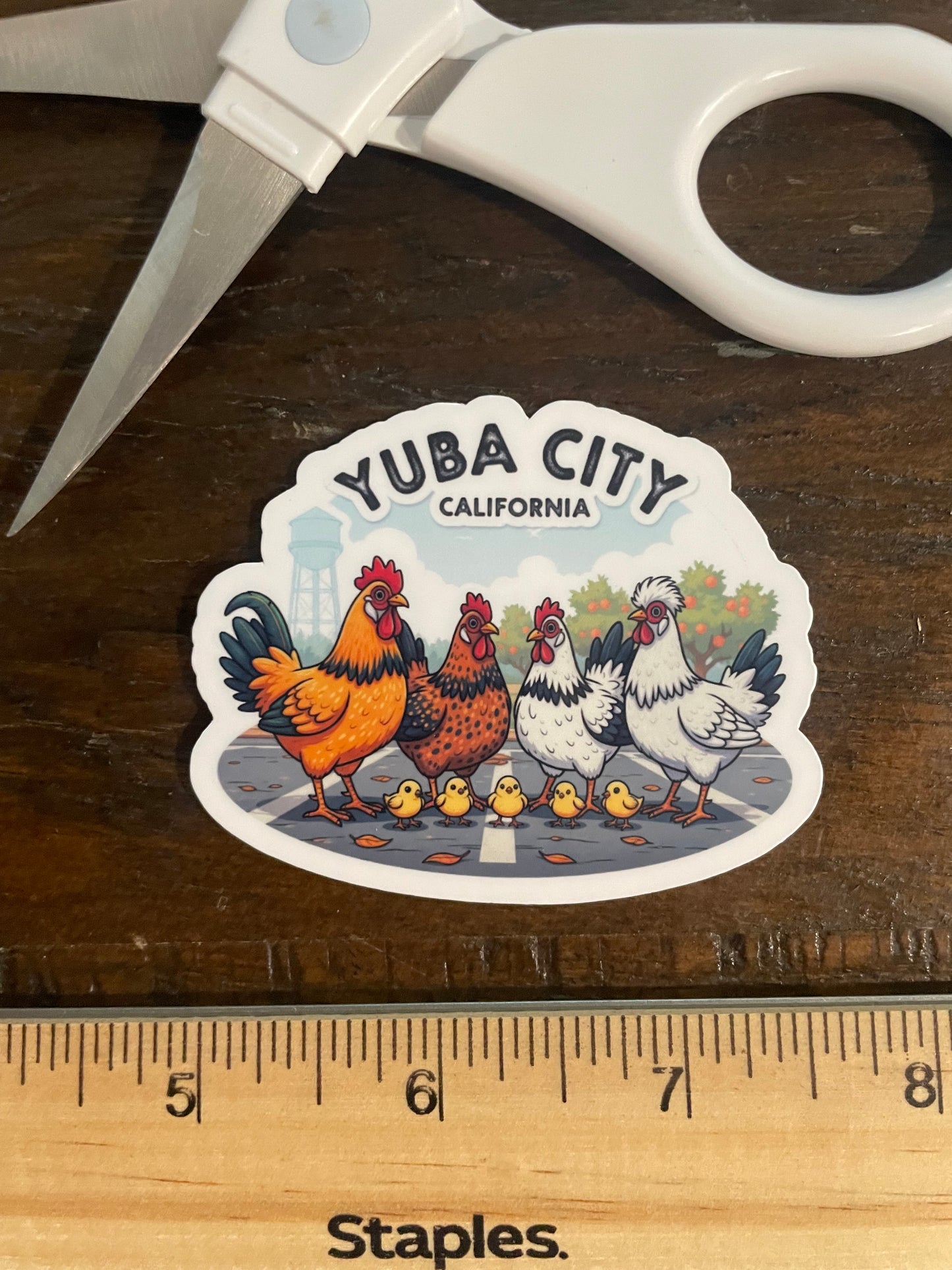 Yuba City Parking Lot Chickens and Chicks!