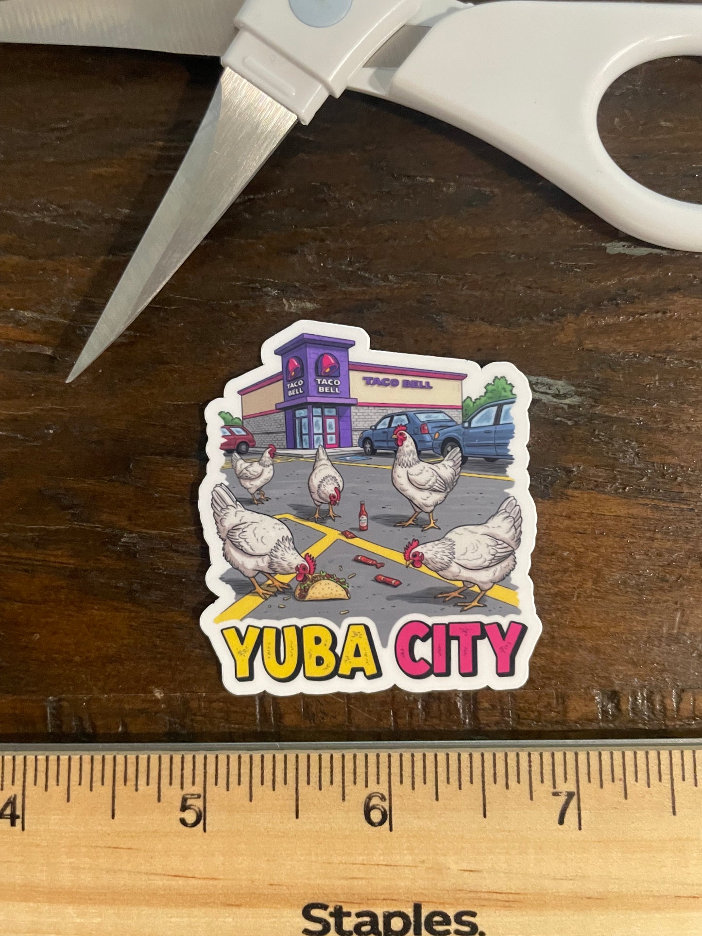 Yuba City Parking Lot Chickens of the Yuba City Taco Bell!