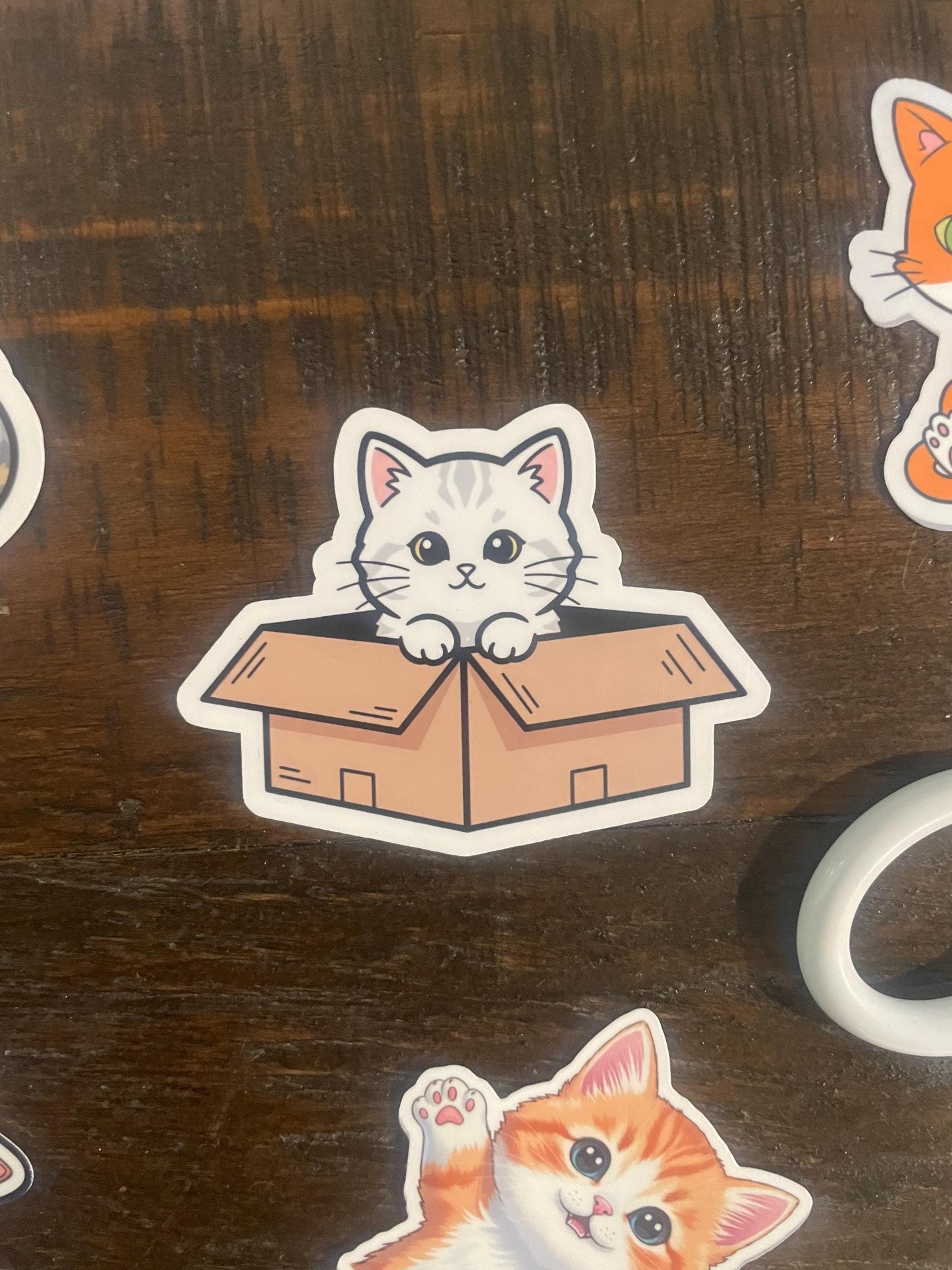 kittie sticker, cute kitty in a box, kitty box, laptop sticker, water bottle sticker, cute catful stickers, sticker cuteness animal