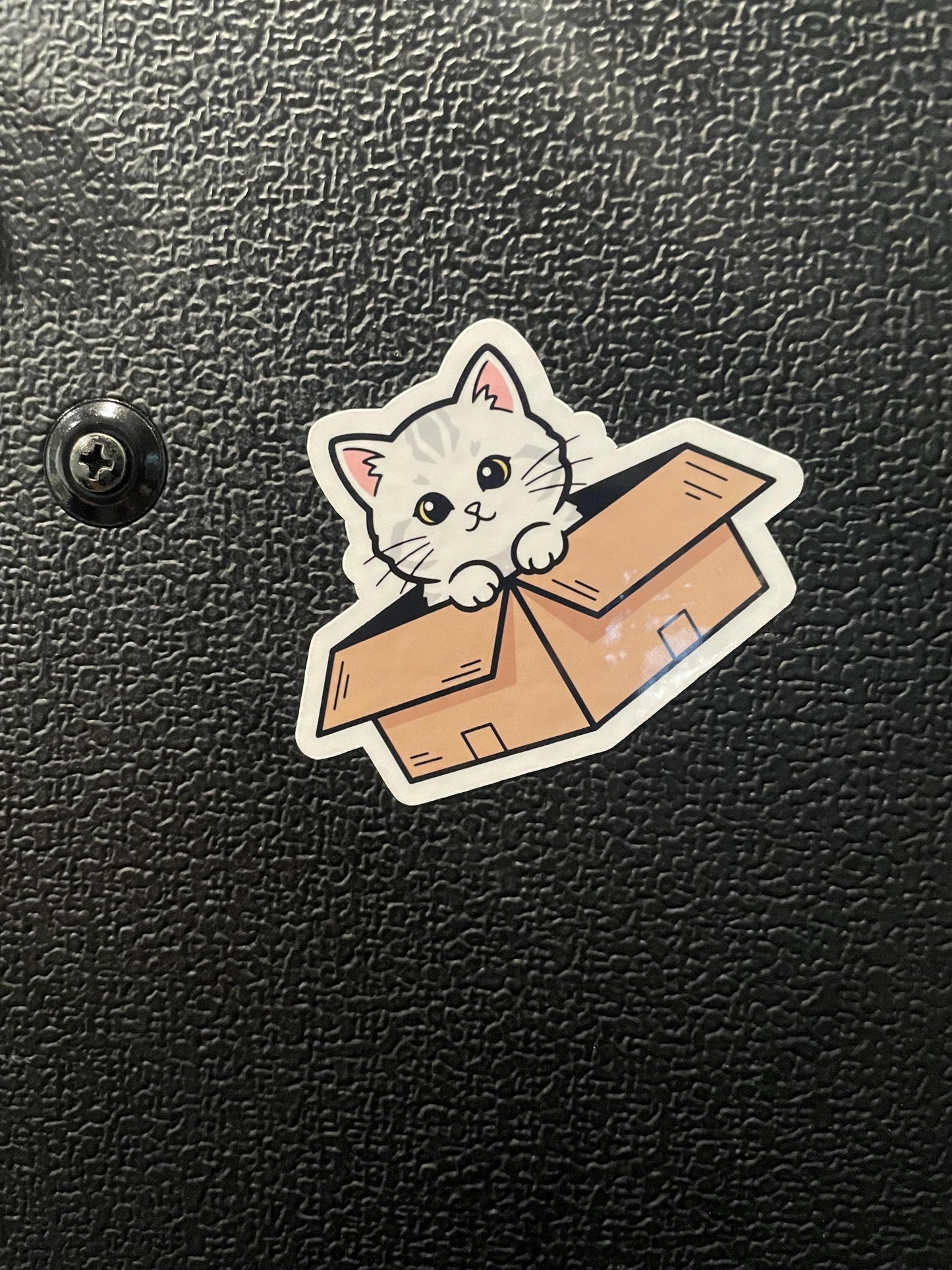kittie sticker, cute kitty in a box, kitty box, laptop sticker, water bottle sticker, cute catful stickers, sticker cuteness animal