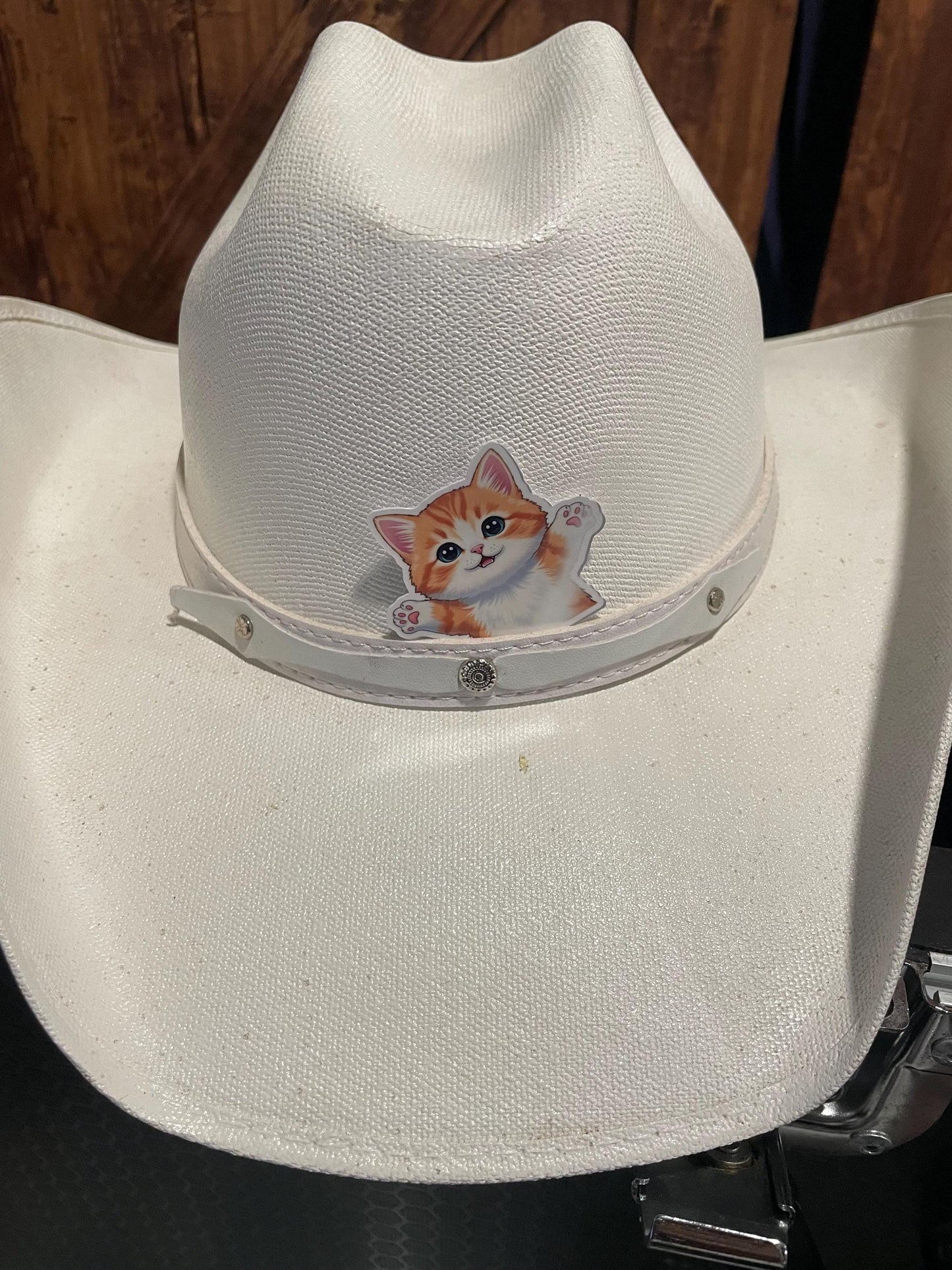 Orange Tabby Cat Sticker, cat meme waterproof sticker