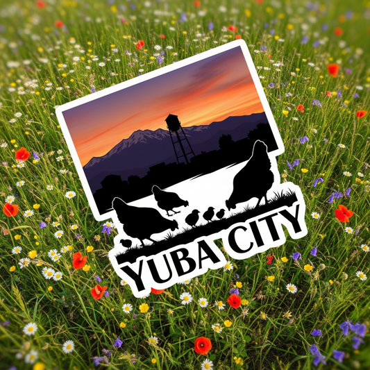 Yuba City and Our Chickens Sticker