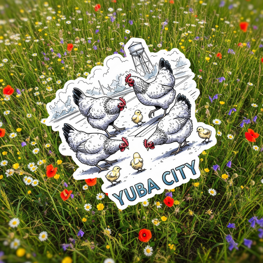Yuba City Hand Drawn Parking Lot Chickens, Water Tower and Buttes!