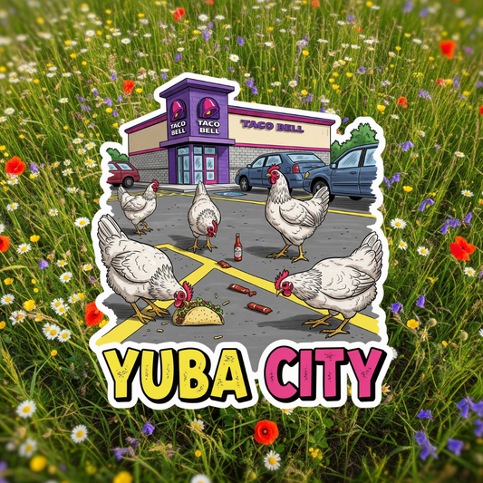 Yuba City Parking Lot Chickens of the Yuba City Taco Bell!