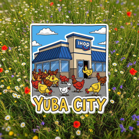 Yuba City Parking Lot Chickens of the Yuba City IHOP!