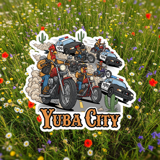 Yuba City Biker Chickens!