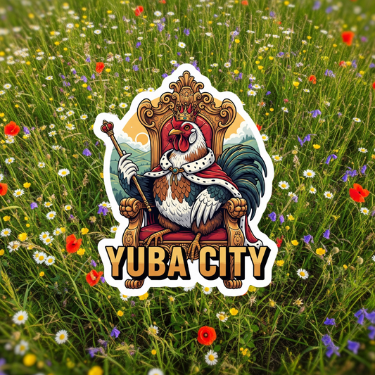 Yuba City's King Chicken!